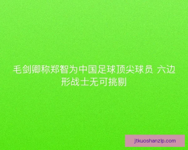 毛剑卿称郑智为中国足球顶尖球员 六边形战士无可挑剔