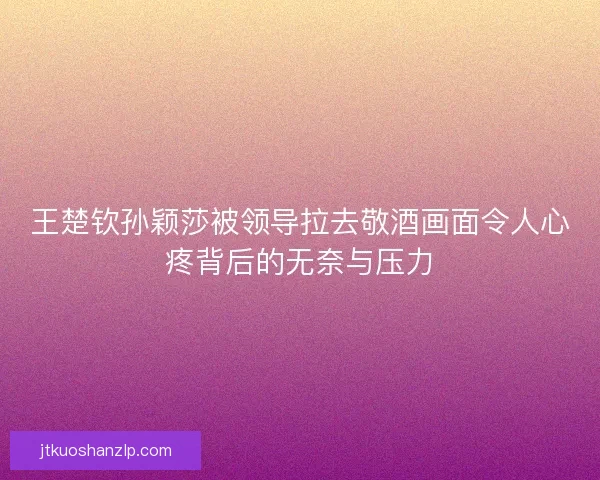 王楚钦孙颖莎被领导拉去敬酒画面令人心疼背后的无奈与压力